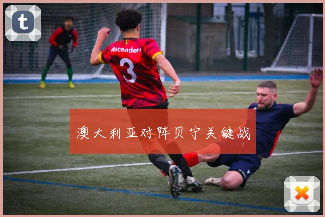 澳大利亚对阵贝宁关键战
