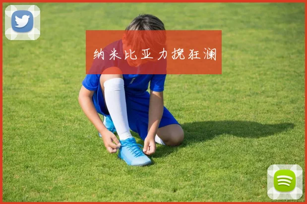 纳米比亚力挽狂澜