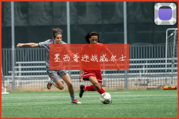 墨西哥迎战威尔士