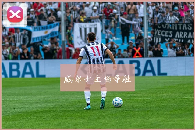 威尔士主场争胜