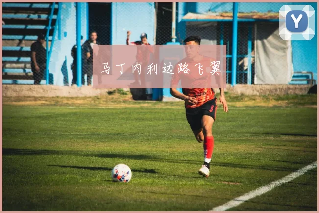 马丁内利边路飞翼