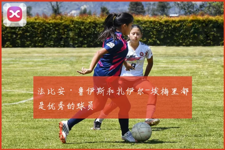 法比安·鲁伊斯和扎伊尔-埃梅里都是优秀的球员