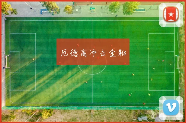 厄德高冲击金靴