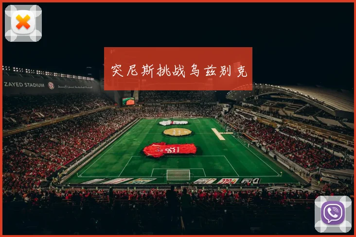 突尼斯挑战乌兹别克