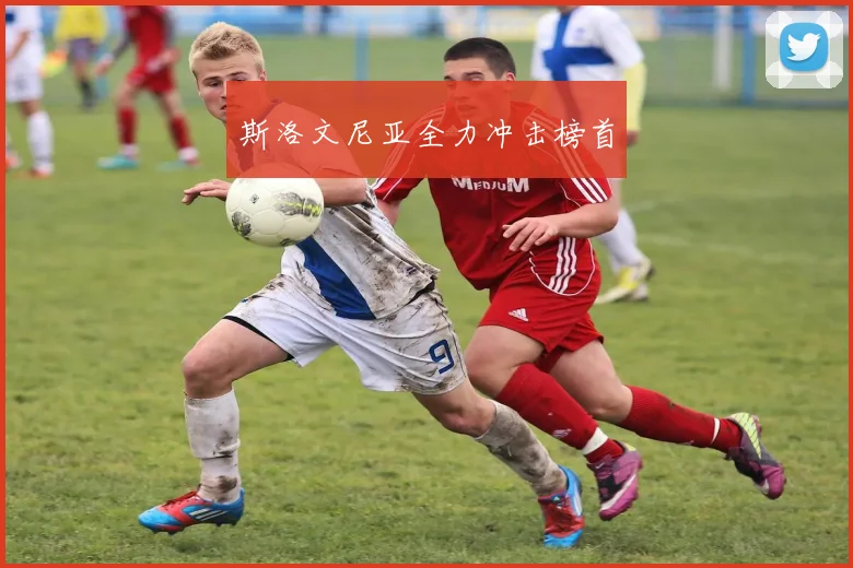 斯洛文尼亚全力冲击榜首