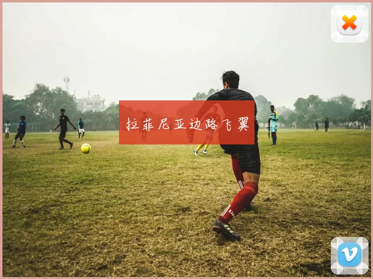 拉菲尼亚边路飞翼