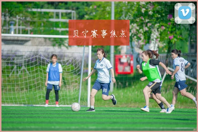 贝宁赛事焦点