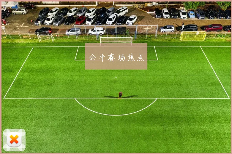公牛赛场焦点