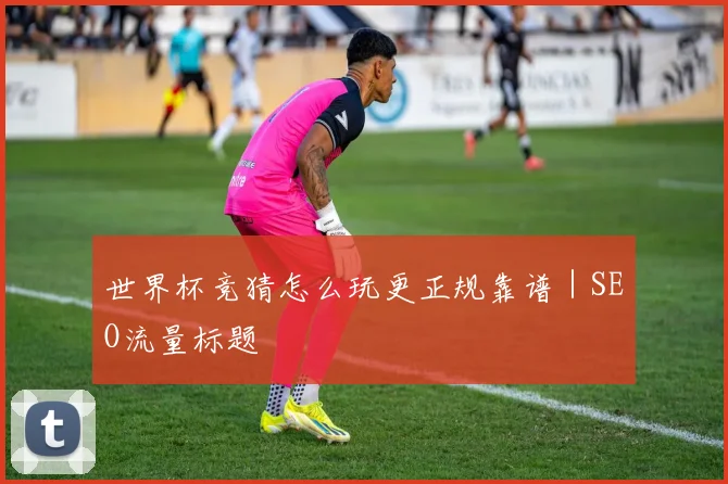 世界杯竞猜怎么玩更正规靠谱｜SEO流量标题