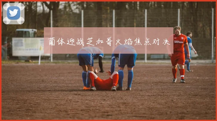葡体迎战芝加哥火焰焦点对决