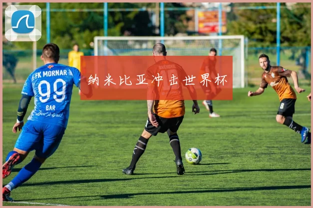 纳米比亚冲击世界杯