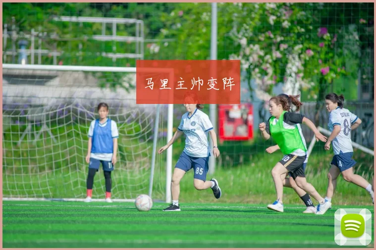 马里主帅变阵