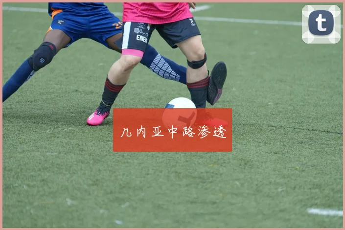 几内亚中路渗透