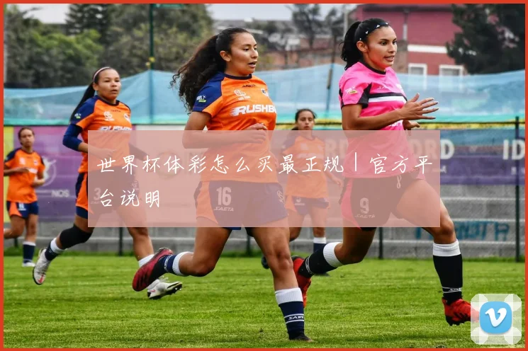 世界杯体彩怎么买最正规｜官方平台说明