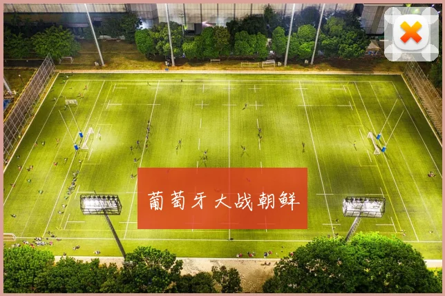 葡萄牙大战朝鲜