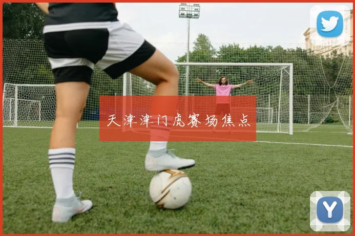 天津津门虎赛场焦点
