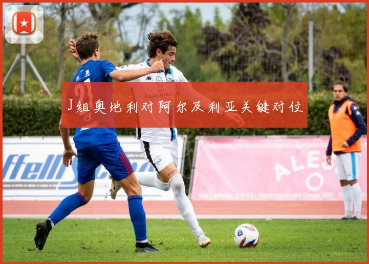 J组奥地利对阿尔及利亚关键对位