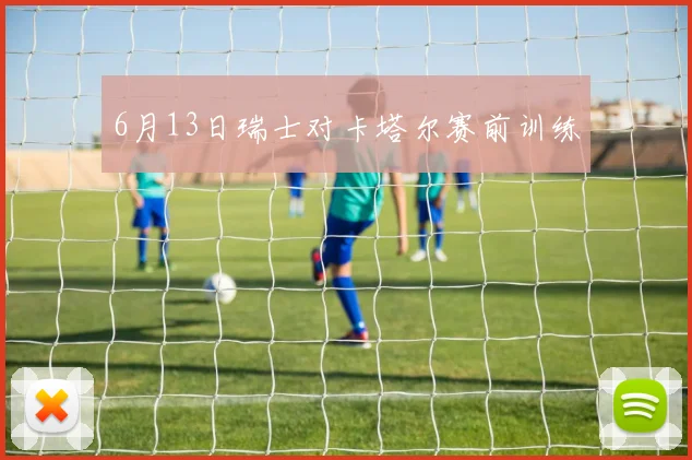 6月13日瑞士对卡塔尔赛前训练